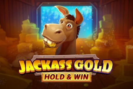 Viggoslots Casino Bild